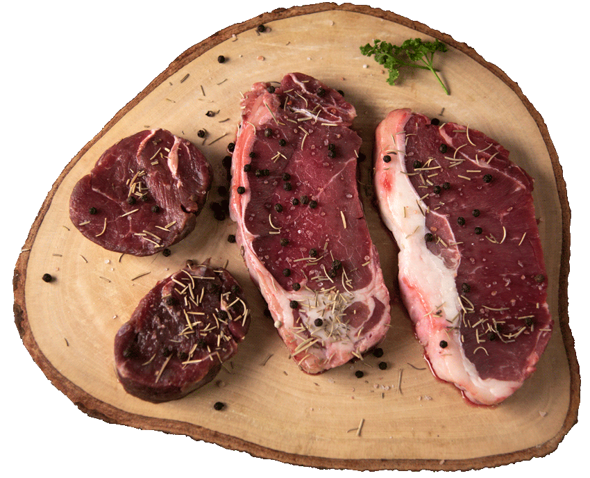 Sliced venison meat on a plate with fresh herbs